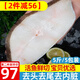 海皇灣格陵蘭進(jìn)口深海冰鮮冷凍鰈魚身鴉片魚頭超大比目魚魚類生鮮批發(fā) 鰈魚身段 2500g 【500g*5包】