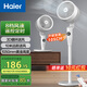 海爾（Haier）空氣循環(huán)扇家用電風(fēng)扇全自動搖頭大風(fēng)量臺式落地扇大暴風(fēng)臥室桌面立式省電加高智能語音遙控電扇 【8檔大風(fēng)力】遙控定時循環(huán)扇HFX-Y2352A