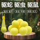 京悠雨雄黃驅(qū)蛇粉防蛇丸強(qiáng)力長效持久防蛇用品家用庭院露營戶外硫磺神器 驅(qū)蛇丸10顆 (送網(wǎng)袋)