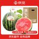 京覓 陜西甘美西瓜4k西瓜 1粒凈重7-9斤 無籽/有籽 皮薄酥脆新鮮多汁