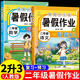 二年級暑假作業(yè)語數(shù)數(shù)學(xué)全套2冊 小學(xué)二年級下冊暑假作業(yè)人教版二年級升三年級假期作業(yè)暑期二升三銜接教材預(yù)習(xí)復(fù)習(xí)黃岡小狀元2025 【二升三】語文+數(shù)學(xué)暑假作業(yè)