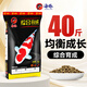 海豚錦鯉飼料中大顆粒 業(yè)者育成色揚(yáng)上浮 40斤魚食專用魚糧錦鯉魚飼料 綜合育成 20kg/大粒（均衡成長）