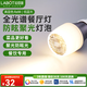 拉伯塔全光譜節(jié)能燈泡led超亮螺口e14E27餐廳專用射燈飯店餐桌吊燈光源 7W-全光譜高顯-E27餐廳燈泡 暖黃光【2700K】