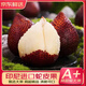 農(nóng)果傳橙印尼蛇皮果【多地次日達(dá)】進(jìn)口水果熱帶沙叻記憶之果孕婦水果禮盒 2斤裝【罕見水果 凈重1.5斤】