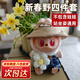 labubu衣服拉布布娃衣17cm搪膠娃娃衣服套裝毛絨公仔玩偶搪膠換裝 新春野四件套【不含娃娃】