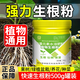 智綠快速生根粉植物通用營養(yǎng)液扦插移栽強(qiáng)力生根劑養(yǎng)花卉肥料 快速生根粉500g【植物通用】