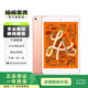 Apple 蘋(píng)果平板電腦 iPad mini5 二手平板電腦 金色 64G