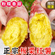 言覺(jué)陜西板栗紅薯蜜薯當季新鮮蔬菜生鮮農家自種地瓜番薯果蔬整箱 精選凈重4.5-5斤粉糯香甜