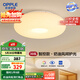 歐普（OPPLE）護(hù)眼吸頂燈簡(jiǎn)約調(diào)色Ra95高顯色奶油風(fēng)臥室智控包安裝 千層糕糕