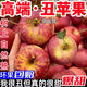 暢果匯現(xiàn)摘當(dāng)季云南昭通丑蘋果冰糖心蘋果水果新鮮脆甜大果 精選凈重4.5斤 75-80mm