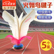 凌云鶴火翎鳥(niǎo)毽子成人毽球比賽專(zhuān)用毽子鵝毛毽子 小號17cm白色【5個(gè)】 【橡膠底座 升級鵝毛】
