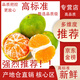 騎猴趕馬云南蜜桔 應(yīng)季早熟蜜桔青皮蜜桔新鮮水果青金桔 凈重4.5斤【單果55mm+】 【云南蜜桔】