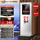 冰仕特開水器商用奶茶店咖啡店全自動(dòng)智能電熱燒水器熱水箱步進(jìn)式餐廳吧臺(tái)熱水機(jī)熱水器電開水機(jī)開水爐 數(shù)顯款/30L(銀色)[日銷100杯推薦]