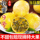 【順豐直達(dá)】正宗欽蜜9號(hào)黃金百香果 多地次日達(dá) 5斤新鮮水果送禮 SS級(jí)特大果【甄選果】單果65-90g 整箱3斤【嘗鮮裝-較劃算】