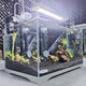 森森魚缸生態(tài)水草缸小型超白玻璃熱帶魚水族箱迷你桌面金魚缸帶底座 420+HBL402+ADP300C+造景ZJ03