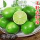正宗泰國進(jìn)口塔希提無(wú)籽青檸檬9斤新鮮水果無(wú)核多汁青檸一級金桔Y 9斤裝