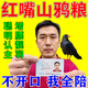 紅嘴山鴉飼料專用鳥食鴉科飼料烏鴉山鴨幼鳥糧用品增肥靚羽高鈣糧 1桶裝【面包蟲干】營養(yǎng)小零食