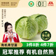 米特樂芙有機青甘藍 有機包菜大頭菜 新鮮有機蔬菜 產地種植 營養(yǎng)無農殘 有機圓甘藍500g