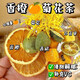 菊花香櫞青柑茶香橙菊清香菊花橙子青桔凍干百香果金絲黃菊水果 喝香橙青桔百香果菊  品健康人生 香橙青桔百香果菊【10包】鮮美醇香