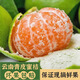 晟容果蔬云南蜜橘特早熟桔子青皮蜜桔新鮮水果當(dāng)季整箱青皮柑橘孕婦 凈重4.5斤甄選裝【單果50mm+】