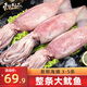 東上御品 山東 大魷魚凈重2.9-3斤 約3-5條魷魚 燒烤海鮮食材-源頭直發(fā)
