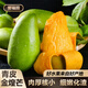 譽(yù)福園云南新鮮大芒果應(yīng)季多汁熱帶水果青皮金煌芒甜心肉厚孕婦可吃 5斤裝 店長推薦款【200-250g】