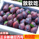 大口七八現(xiàn)貨新疆西梅新鮮水果2/5斤整箱當季甜西梅李子法蘭西大西梅 5斤 40-50g