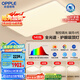 歐普（OPPLE）全光譜護(hù)眼吸頂燈客廳燈智能LED照明燈具簡(jiǎn)約包安裝套餐1 凝月4