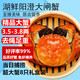 【活蟹】湖鮮陽澄 大閘蟹 去繩足重 3.5-3.8兩 8只 鮮活六月黃現(xiàn)貨超大螃蟹生鮮禮盒裝