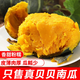 康田匯 陜西真貝貝南瓜板栗源頭直發(fā)香甜兒童輔食美味粗糧新鮮蔬菜生鮮 凈重4.5- 5斤 統(tǒng)貨直發(fā) 源頭直發(fā)