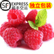 卡布諾新鮮紅樹莓覆盆子樹莓鮮果 新鮮應(yīng)季稀有水果生鮮順豐空運(yùn) 4盒400g-450g【每顆獨(dú)立包裝】