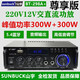 山宇;SUNBUCK全新頂配版大功率hifi功放機藍牙5.4家用無(wú)損12V插卡U盤(pán)收音空放 全新 尊享版 帶音頻輸出 藍牙5.4