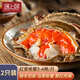 紅膏嗆蟹整只咸蟹熗蟹即食韓國(guó)醬母蟹寧波舟山梭子蟹糊螃腌生腌蟹 嘗鮮款【3-4兩】到手2只