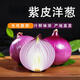 水果紫皮洋蔥健康輕食新鮮蔬菜 紫皮洋蔥 5斤 單個≥150g