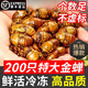 妙普樂知了猴新鮮活體【順豐多地次日達(dá)】2025新貨鮮活冷凍金蟬爬叉蟬蛹 【甄選S級(jí)】特大金蟬200只