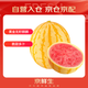 京鮮生 黃金無(wú)籽麒麟西瓜 1枚凈重6-8斤 生鮮水果