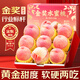 愛鮮摘農(nóng)場(chǎng) 江蘇無(wú)錫陽(yáng)山鎮(zhèn)水蜜桃【JD順豐-多地次日達(dá)】桃子水果禮盒物品 超甜｜甄選級(jí) 12枚裝 單果4-5兩 【自吃推薦-鎖鮮裝】顆顆精品