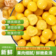東北菇娘果新鮮當(dāng)季水果顆顆脆甜燈籠果現(xiàn)摘現(xiàn)發(fā)肉厚多汁黃菇娘果 1斤凈重