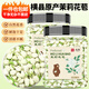 音朗 花草茶  茉莉花苞 橫縣三伏晴天茉莉花茶花蕾養(yǎng)生花茶罐裝40g