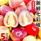 廣西七彩椒新鮮辣椒5斤特產(chǎn)五彩燈籠泡椒小米辣剁椒蔬菜整箱3 5斤