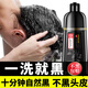 同仁堂染發(fā)劑一洗黑純植物正品自然黑不沾頭皮天然植物無刺激染發(fā)膏黑色 天然植物染黑 (防過敏+全套工具)