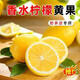 滿柚春無籽青檸檬塔西提薄皮多汁香水檸檬小青檸奶茶店專用 無籽黃檸檬1斤裝單果50-80克