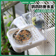 BIRDSTORY鸚鵡外置防濺食盒喂食器谷殼分離虎皮洗澡盆專用洗澡神器用品大全 防濺防撒【可洗澡/喂食】白色