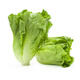 生菜約500g