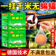 戶(hù)凈蝙蝠驅趕劑蝙蝠藥家用室內無(wú)毒驅爬蟲(chóng)防蟲(chóng)噴霧蝙蝠驅趕神器驅避丸 蝙蝠聞味逃【買(mǎi)二送一】發(fā)三盒