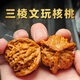 DL 1998胖東來品質(zhì)核桃文玩三菱獅子頭盤山正奔高端精品收藏級盤玩手把件 36mm【高拋打底】6工具+禮盒