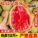 探味君 廣西紅心芭樂(lè )番石榴 新鮮水果生鮮健康輕食帶箱 軟糯紅心芭樂(lè )凈重4.8斤