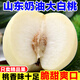采緹（CAITI）山東蒙陰白桃新鮮水果白玉如奶油白桃大桃子脆甜桃子五斤整箱 精選3斤裝