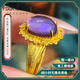 福來(lái)島黃金戒指時(shí)尚古法金足金999新款婚戒夢(mèng)幻美人紫水晶戒指 夢(mèng)幻美人工費(fèi)：1214元 7.42克-14號(hào)