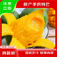 元珍鮮誠四川攀枝花凱特芒果  熱帶新鮮水果整箱送禮 凈重4.5斤（單果300g+）